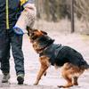 Hundträningshylsa Armskydd Justerbar Bekväm Hundbett Dragkrok för Schäfer Mastiff