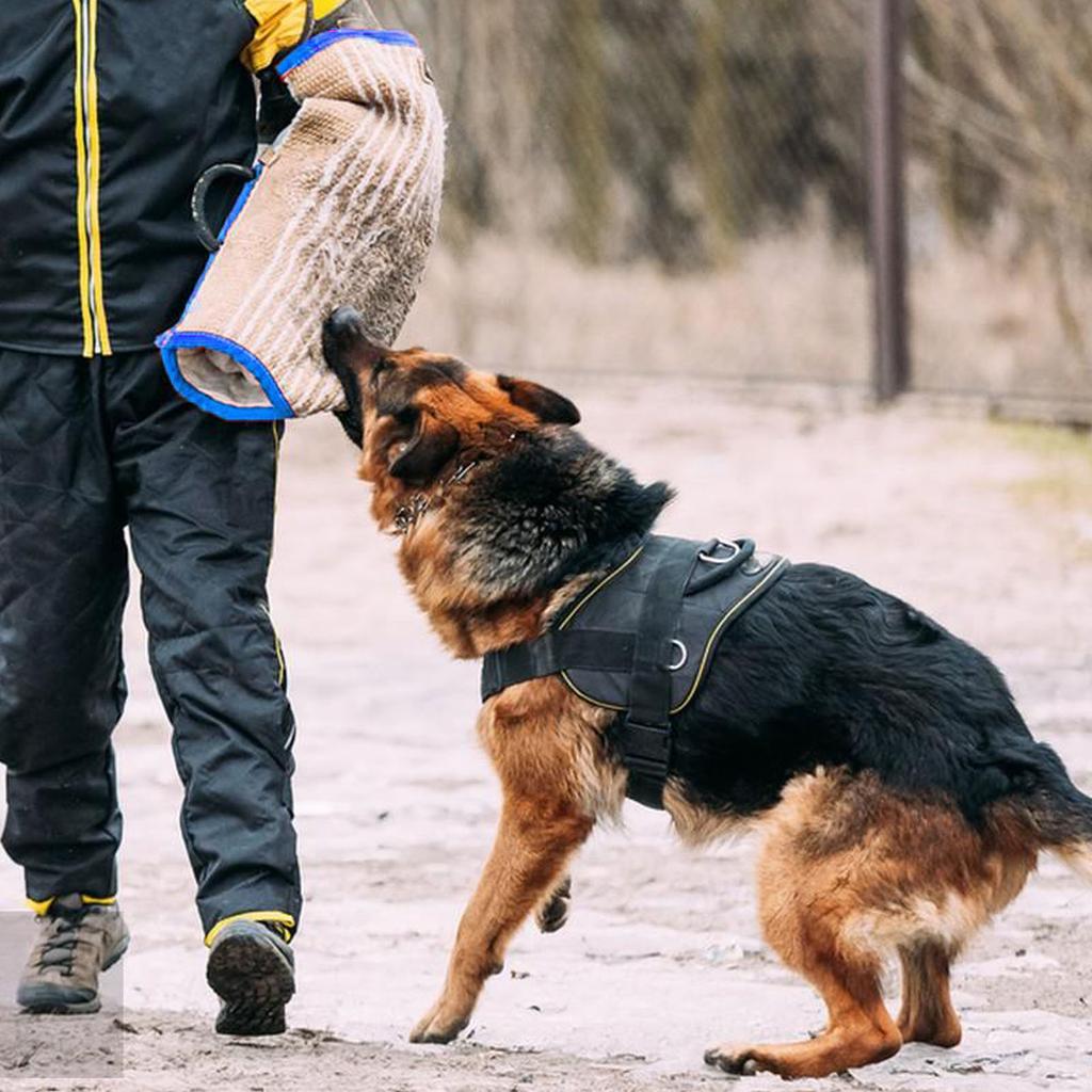 Hundträningshylsa Armskydd Justerbar Bekväm Hundbett Dragkrok för Schäfer Mastiff