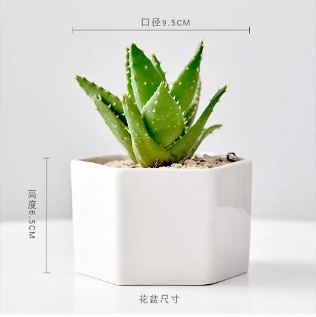 Large Hexagonal Ceramic Planter for Succulents, Cacti and Small Indoor Plants