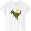 COACH SS26 Regular Sleeve T Shirt Women's (Unisex) T-Shirts CDI29 WHT