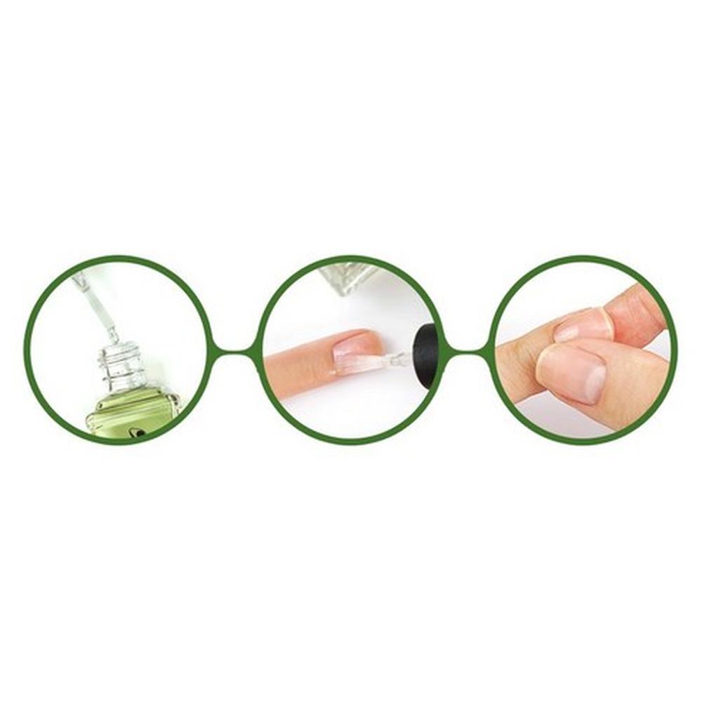 Withshyan Avocado Nail Cuticle Oil 15ml