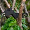 Tree Support Strap for Staking Heavy Duty Tree Strap Protects Newly Planted Sapling from Wind Damage Reusable Tree Strap for Straightening Guying