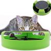 Scratching Board Kitten Interactive Toys Playing Teasing Cat Scratcher Toy  Pet Supplies