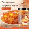 Xixiangtang Natural Beauty & Wellness Ingredients