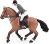 Cheval de concours et son cavalier