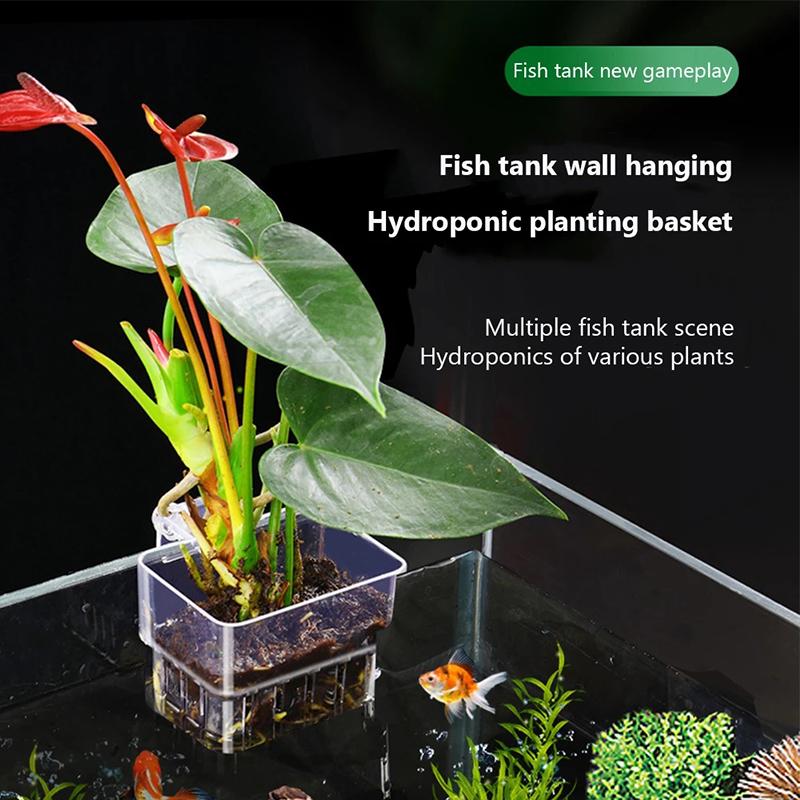 Cesta para Plantas de Acuario Transparente Maceta Colgante Decoraciones para Acuario Soporte para Plantas Acuáticas Copa para Plantas Acuáticas Maceta para Acuario