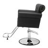 Salon Chair, Barber Chair for Hair Stylist, Styling Chair with Heavy Duty Hydraulic Pump, 360° Swivel Hair Salon Chair with Footrest for Beauty Spa