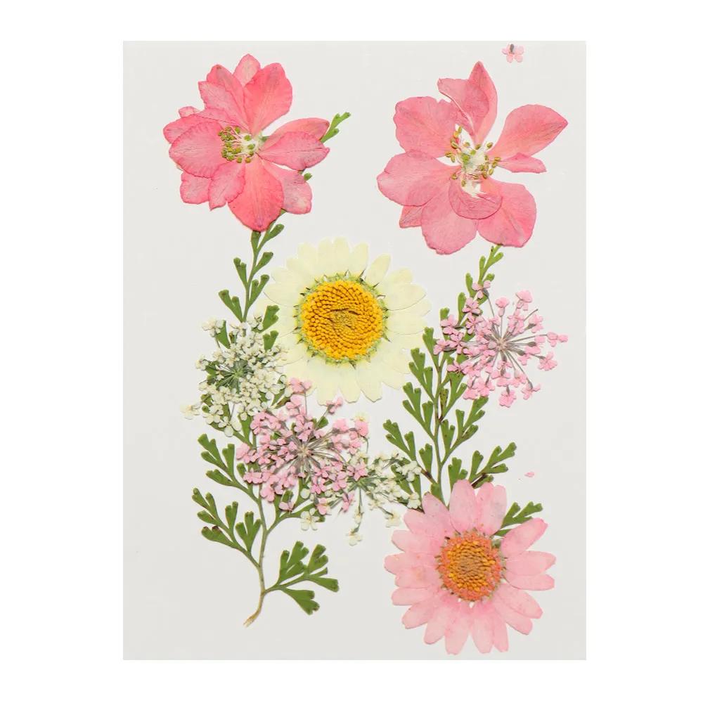 Real Natural Dried Flowers Pressed Flowers Resin Mold Fillings Flower for DIY Candle Resin Crafts Jewelry Nail Art Beauty Decal