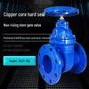 Yunduo DN250 Heavy-Duty Hard Seal Gate Valve