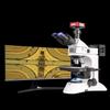 Dispozitive optice – Microscoape