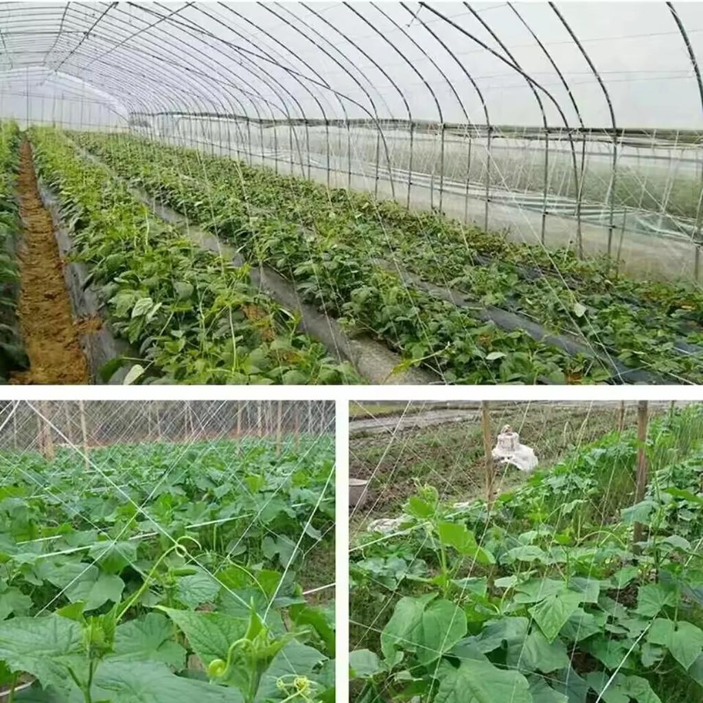 1pc- Garden Climbing Net Trellis Netting Heavy-Duty Plant Support Stand for Flowers Vegetable Vine Orchard Gardening Tools