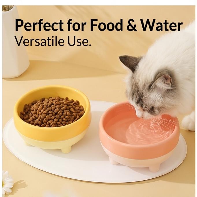 450ml Pet Bowl Flat & Slanted Neck Design Durable Cat Dog Food Water Bowl For Indoor All Season Feeding