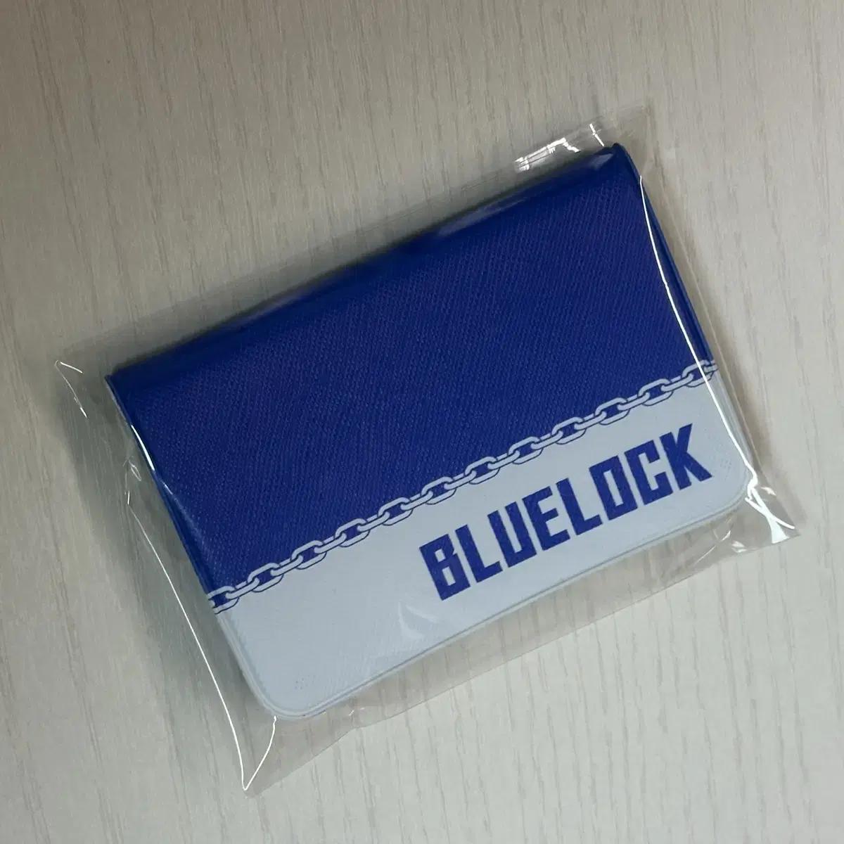 

Коллаборационный кошелек Blue Rock Anyplus Фотокарточка