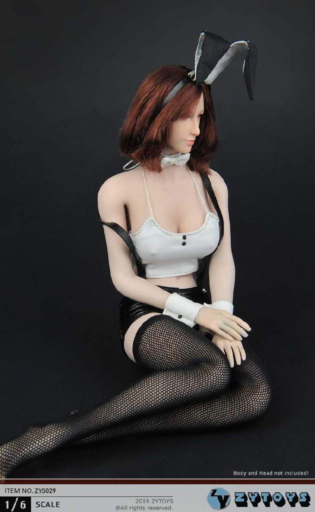 [TOYBARJAPAN] 1/6 Scale Figure Accessories/ZYTOYS ZY5029 Bunny Girl Outfit Set (Body and Head Not Included)