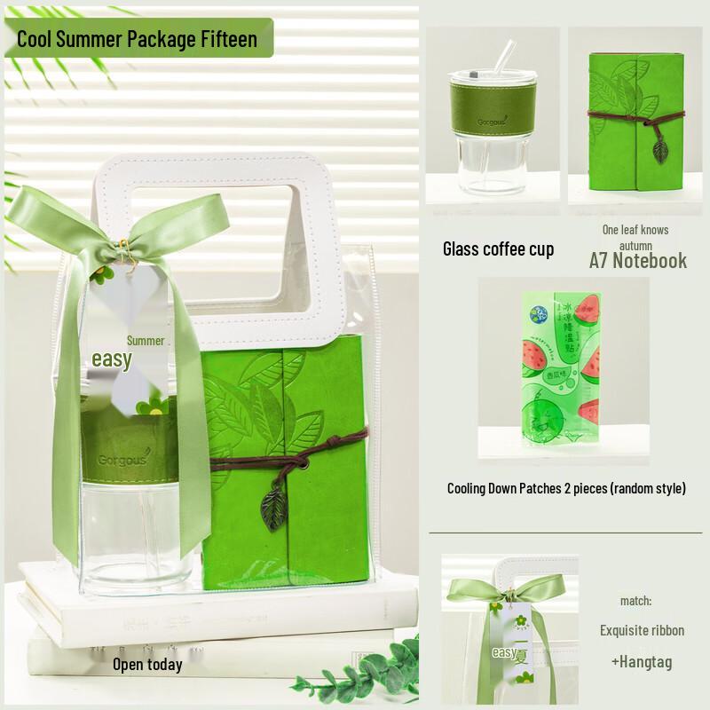 Summer Cooling Gift Set with Straw Cup & Notebook Set 15
