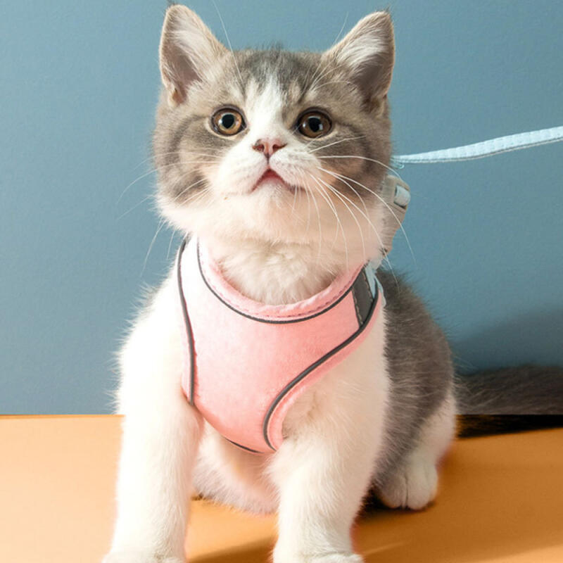 Pet Reflective Harness + Leash (M) (Pink + Sky)