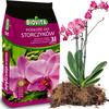 Terra Substrato Para Orquídeas Orquídeas Com Casca Mistura Natural 3L Biovita