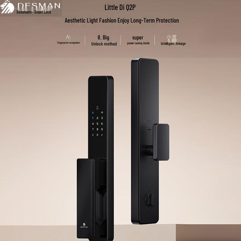 DESMAN Q2P Smart Fingerprint Door Lock