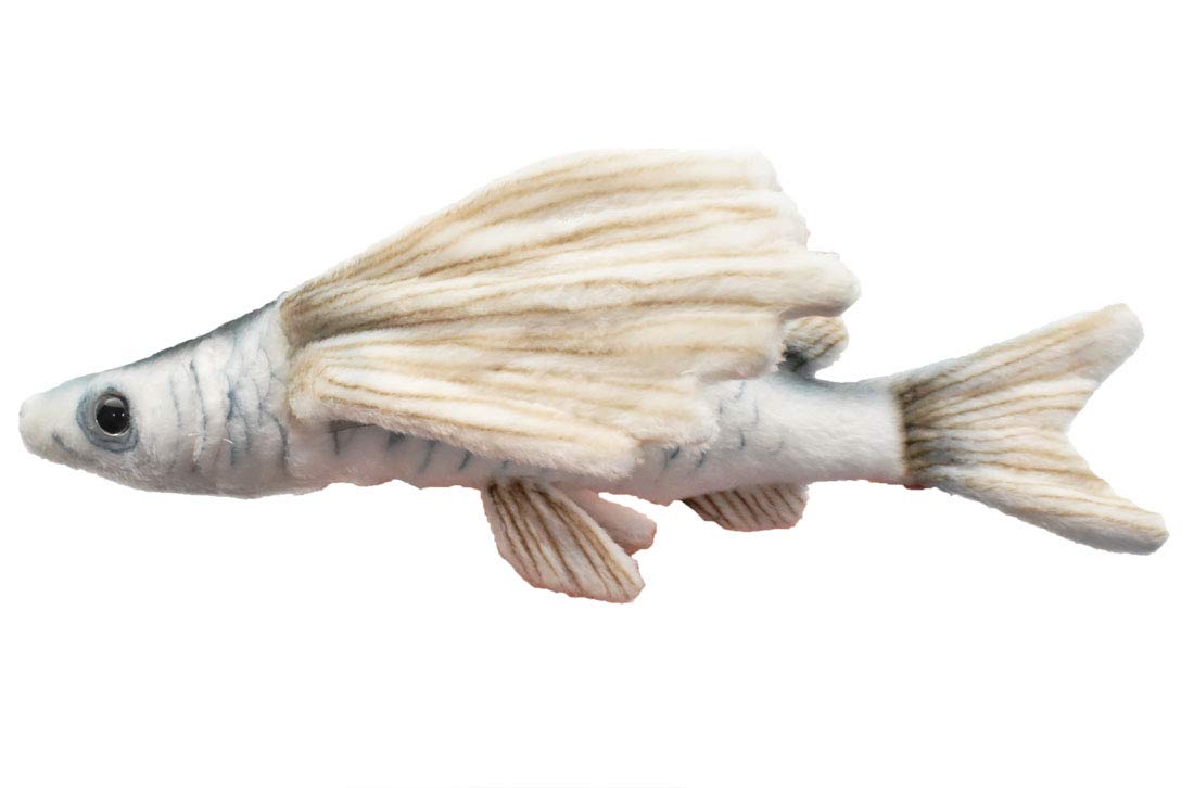 

Flying fish No6049