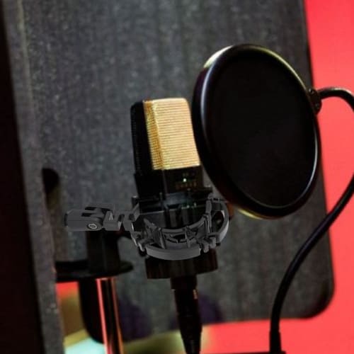 Microphone shock mount microphone holder for C2000, C3000, C4000, C214, C314, C414