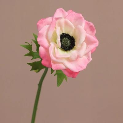 Real Touch Artificial Anemone Lifelike Handmade Simulation Flowers Plastic Realistic Silk Anemone Flowers Home Decoration