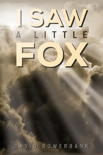 I Saw a Little Fox by David Bowerbank Hardback Book 9781035851621