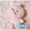 Used Unused New BTS BT21 COOKY JUNGKOOK Guku Stuffed Toy
