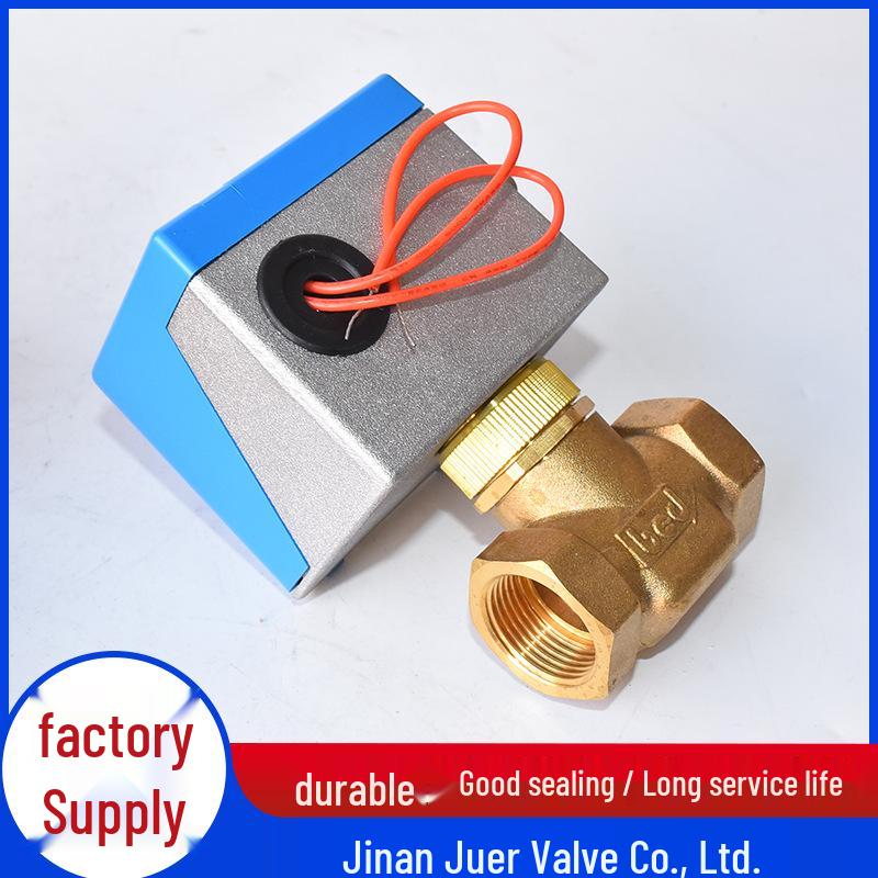 220V DN50 Outdoor Electric Two-Way Regulating Valve