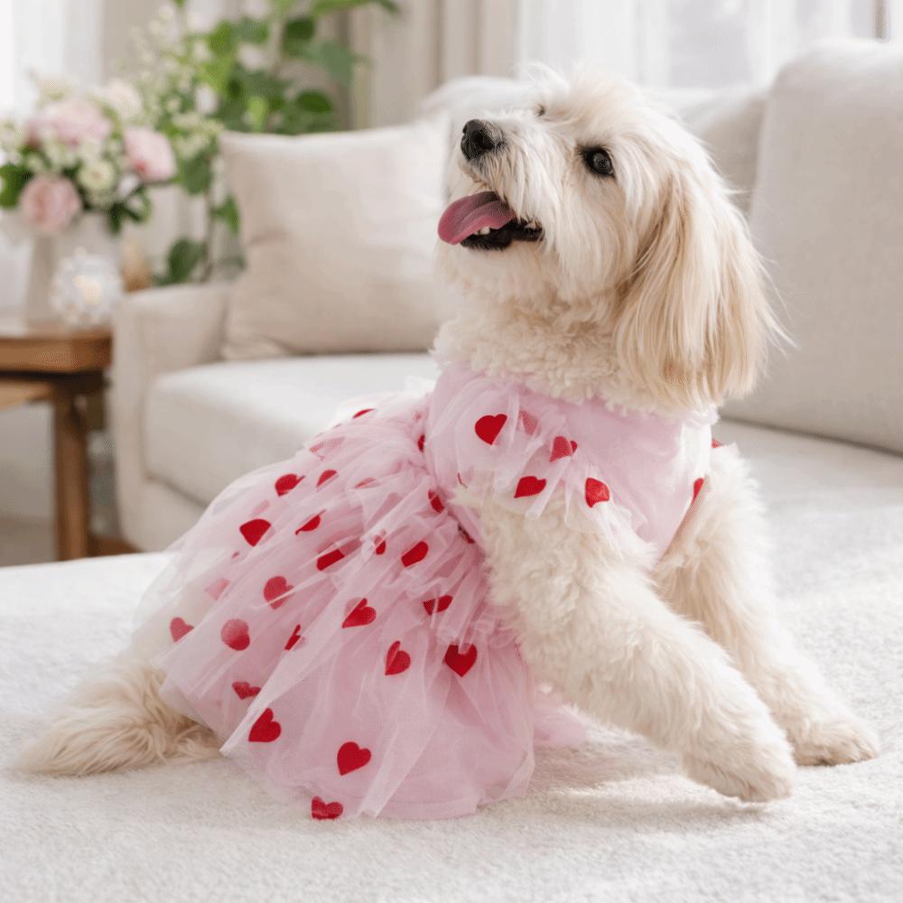 Ruffle Trim Dog Tulle Skirt Thin Breathable Puppy Wedding Dress Dog Summer Vest  Casual Fashion