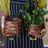 Bamboo Weaving Decorative Flower Pot Cover and Arrangement Basket - Retro Desktop Vase & Handmade Pothos Storage Basket