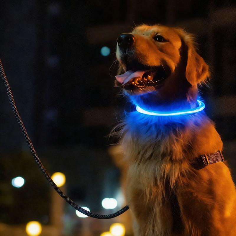 New LED Dog Collar USB Rechargeable,3 Mode Adjustable Glowing Dog Collar for Night Walking,Safe Reflective Pet Collar