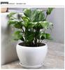 White Ceramic Orchid Pot, Large Elegant Design for Living Room