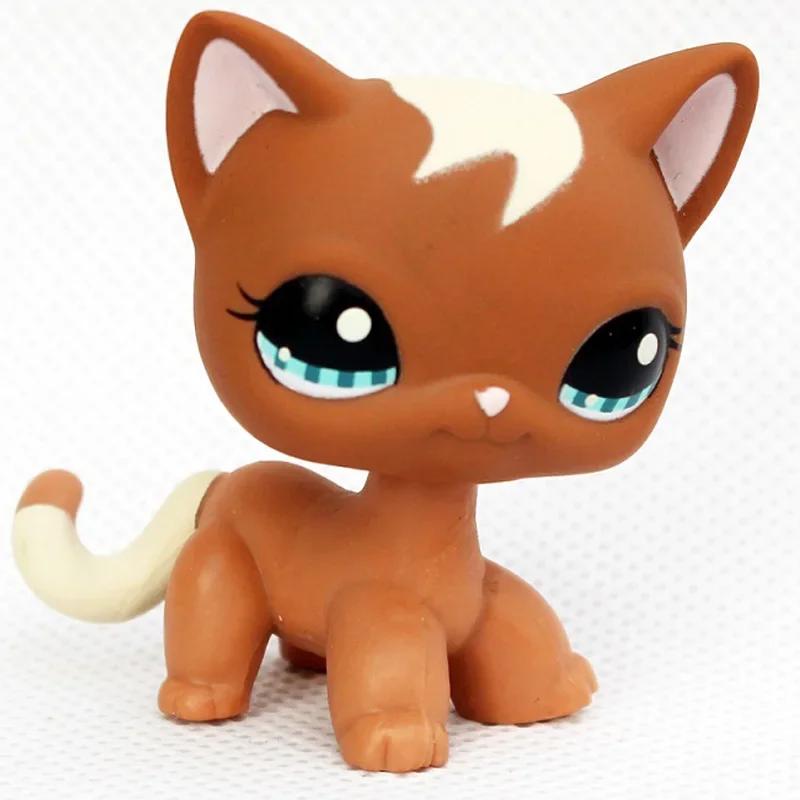 Rare Littlest Pet Shop Lps Toy Toy Mini Stands Short Hair Kitten Old Figures Collection Al Bobble Head Toy