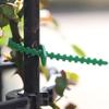 100 stk Gjenbrukbare hagekabelbånd Plantestøtte Busker Festemiddel Trelåsing Justerbare plastkabelbånd Verktøy 13/17cm