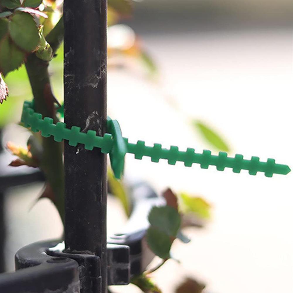 100 stk Gjenbrukbare hagekabelbånd Plantestøtte Busker Festemiddel Trelåsing Justerbare plastkabelbånd Verktøy 13/17cm