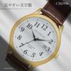CREPHA Analog Japanese Quartz 10 ATM Water Calendar Function Simple and Urethane 20mm Band Suitable for High School and Junior High School Available
