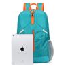 Hufeng Lightweight Foldable Water-Resistant Travel Backpack