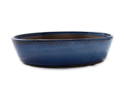 Umekichi Bonsai Bonsai Oval Sea Cucumber Yokkaichi Banko Miscellaneous Pine and Medium Approximately 19cm Supplies, 6-inch Pot, Cut, Blue, Glaze,