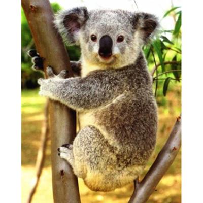 Full 5D Diy Diamond Painting Cartoon Koala Mosaic Embroidery Cross Stitch Home Decor Handmade Gift