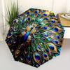 1 Stück Pfauenfeder Mandala Automatisches Öffnen, Stabiler Eisenrahmen, Kompaktes FaltDesign, Ganzjahres-Tragbarer Regenschirm für Damen & Herren, Outdoor