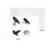 Corvo corvo nero di tendenza, teschio e luna Pacco Asciugamano Viso Morbido Asciugatura Rapida Piscina Bagno Asciugamani in Cotone Assorbente