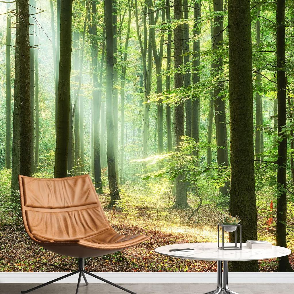 Sunny Green Forest Wallpaper Living Room Bedroom Forest Mural Home Decor