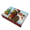 Christmas Advent Calendar 2025 24 Days Shark/Horse Countdown Calendar with 24 Collectible Figures Holiday Gifts