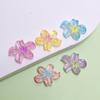 100Pcs Transparent Flowers Resin Slime Charms Mixed Colorful Florals Flatback Cabochons for Crafts Phone Case Hair Accessories