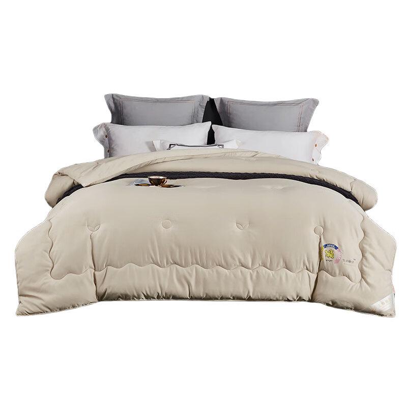 Tangna Warm Velvet Winter Quilt