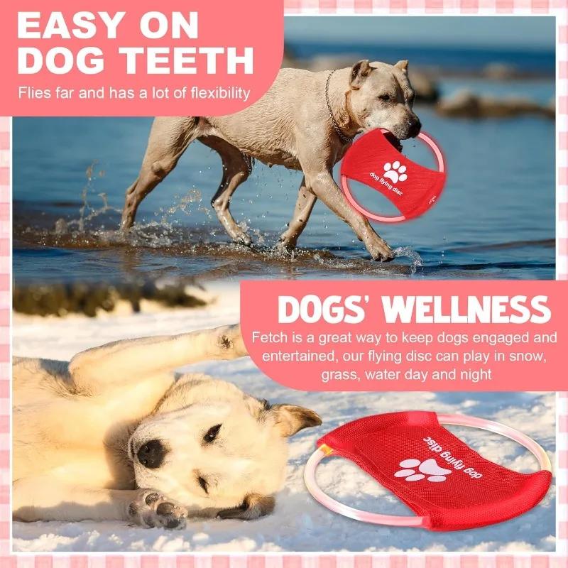 LED Illuminated Dog Activity Circle Charging Pet Toy Bite Proof Material Interactive Play Tool for Backyard Night Game