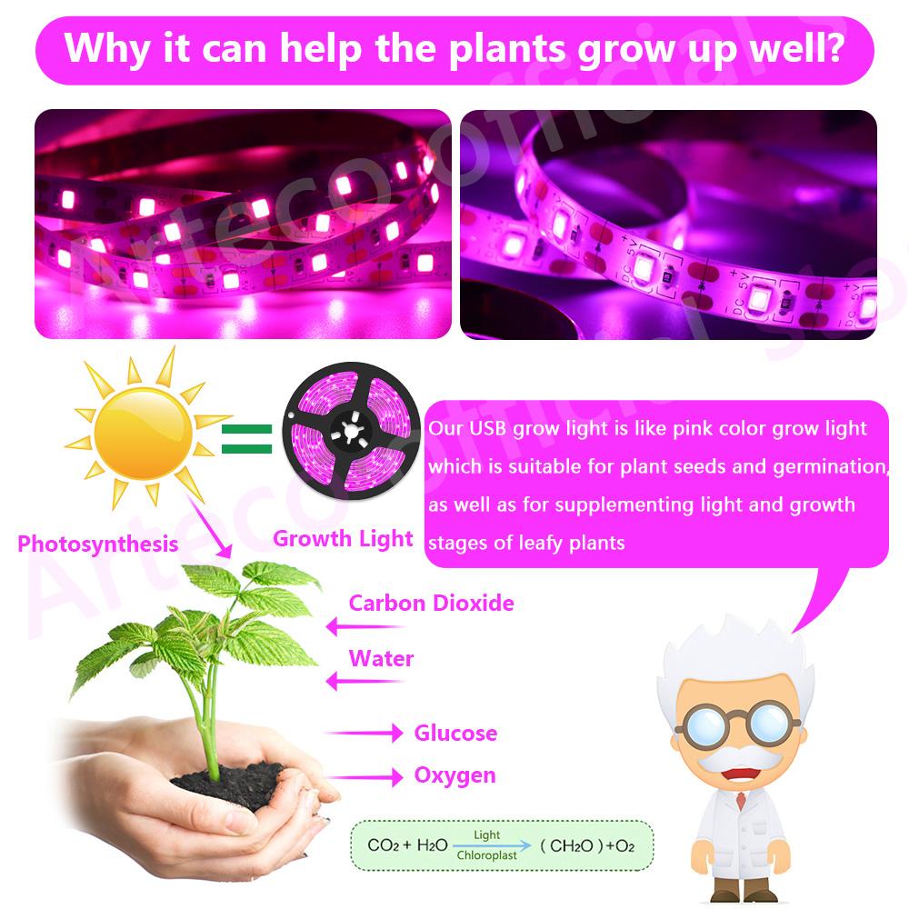 LED Grow Light Full Spectrum Phytolamp USB Plant Light Strip 1m 2m 3m 5m Phyto Lamp for Plant Flower Greenhouse Tent Hydroponics