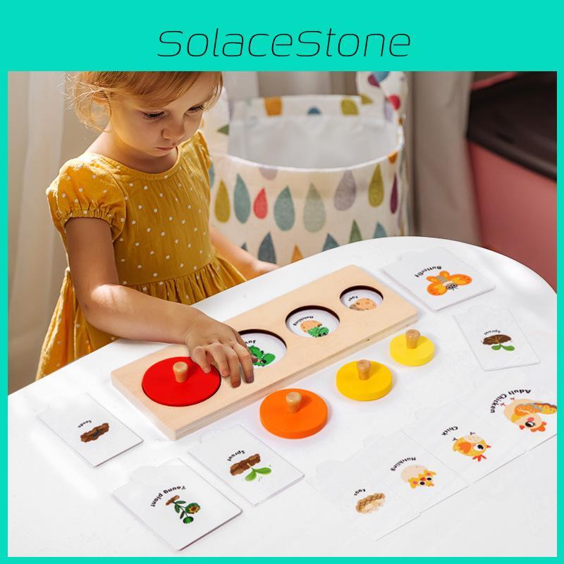 Wooden Cycle Life Puzzle Toy With Geometric Shapes For Early Learning And Play