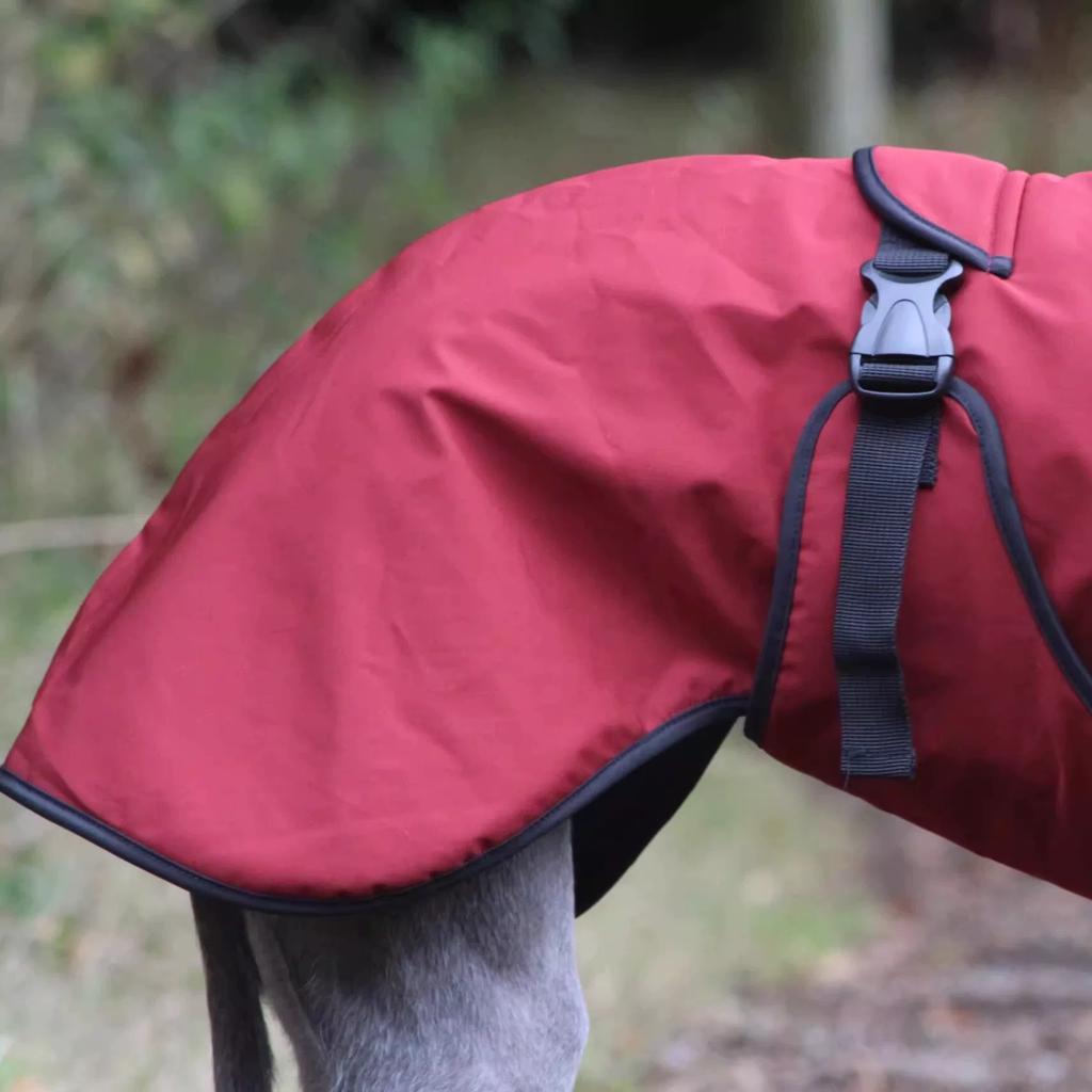 Modischer Regenmantel für Airless Terrier Weiche Welpenkleidung Warmer wasserdichter Mantel für Italienischen Windhund Whippet Hundejacke