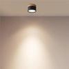 ABFS LED Downlight Mounted Ceiling Downlight Nordic Spot Light For Indoor Foyer,Living Room